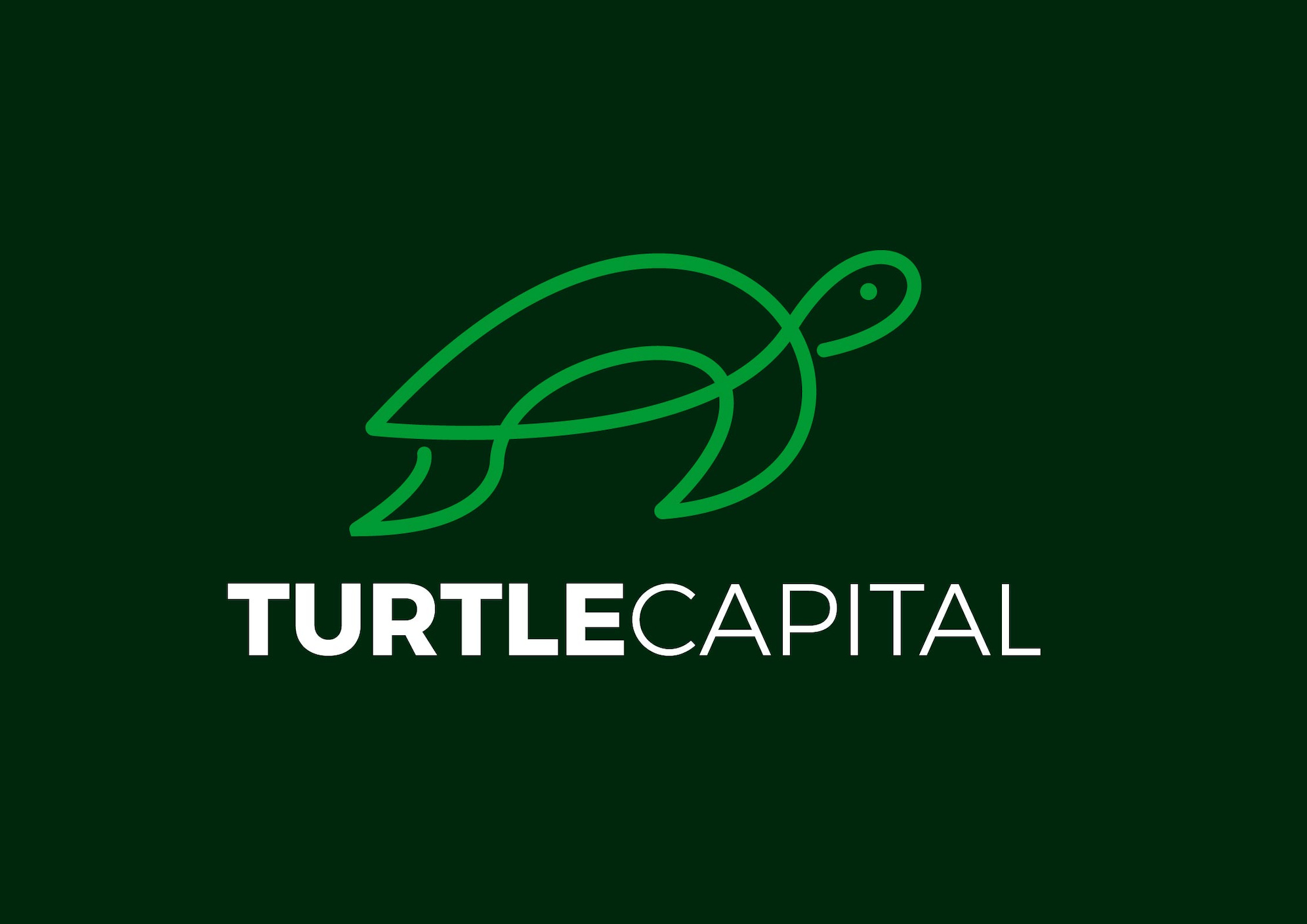 Logotipo histórico de Turtle Capital, el proyecto de Adrià Rivero